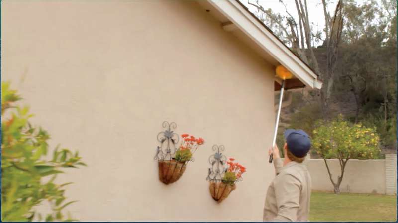 Hospital and Healthcare Facility Pest Management